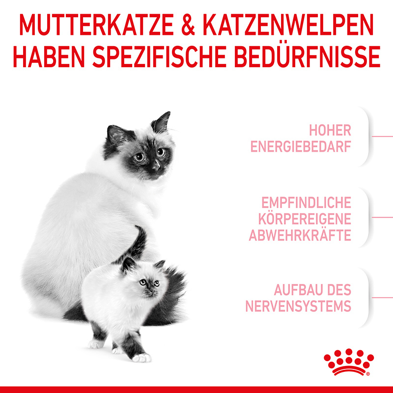 ROYAL CANIN Trockenfutter ROYAL CANIN Mother & Babycat 4 kg