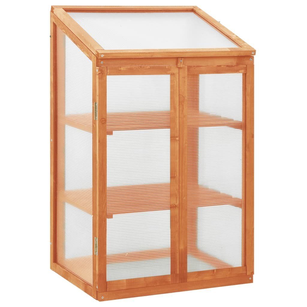 vidaXL Gewächshaus Gewächshaus 60x45x100 cm Tannenholz