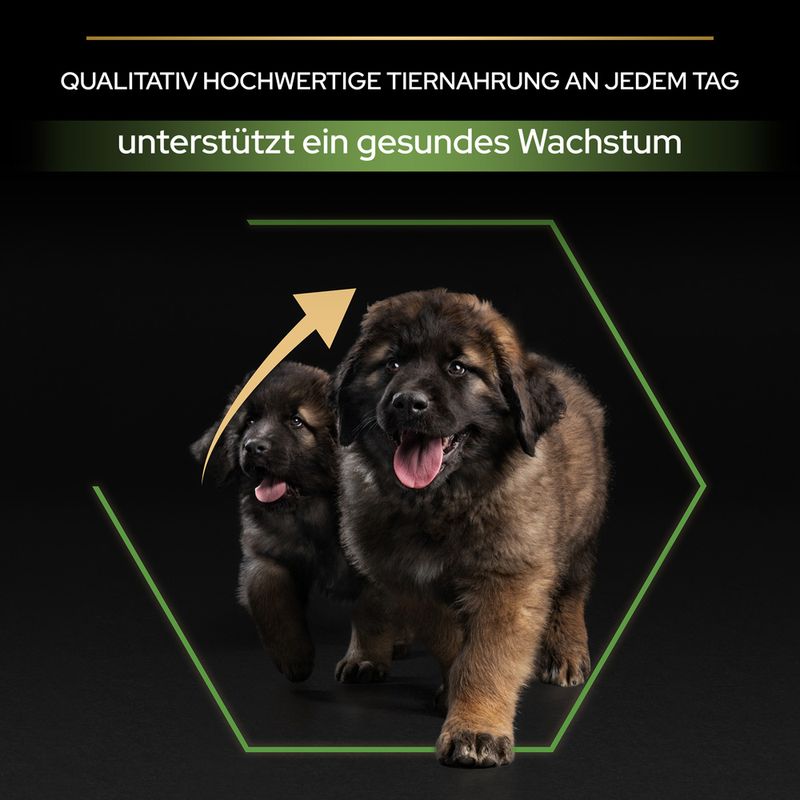 PURINA PRO PLAN Large Robust Puppy Healthy Start