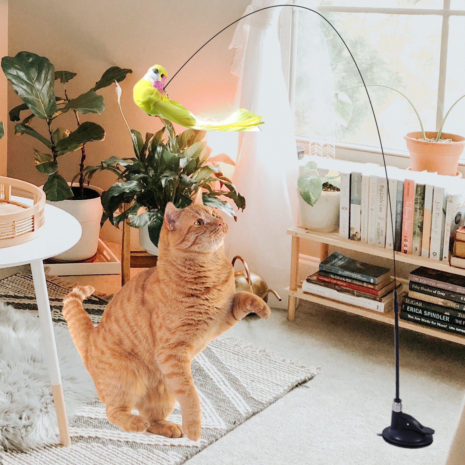 Rutaqian Tier-Intelligenzspielzeug Katzenstab Spielzeug Mit Federn für Katzen Federspielzeug Mit Saugnap, Interaktives Katzenspielzeug Angel mit Feder,Zufällige Farbe
