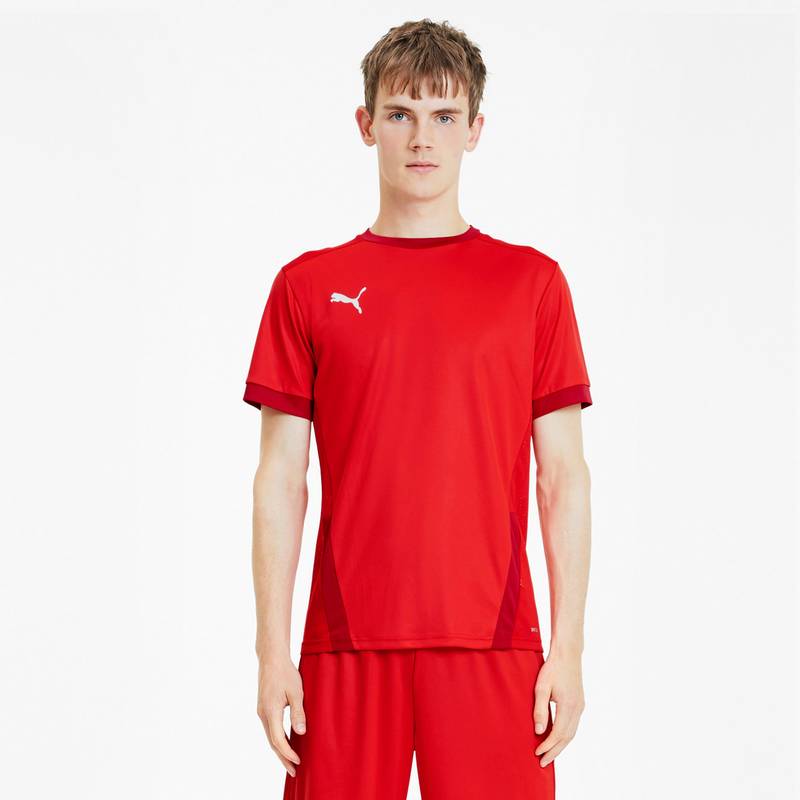 PUMA teamGOAL 23 Funktionsshirt Herren