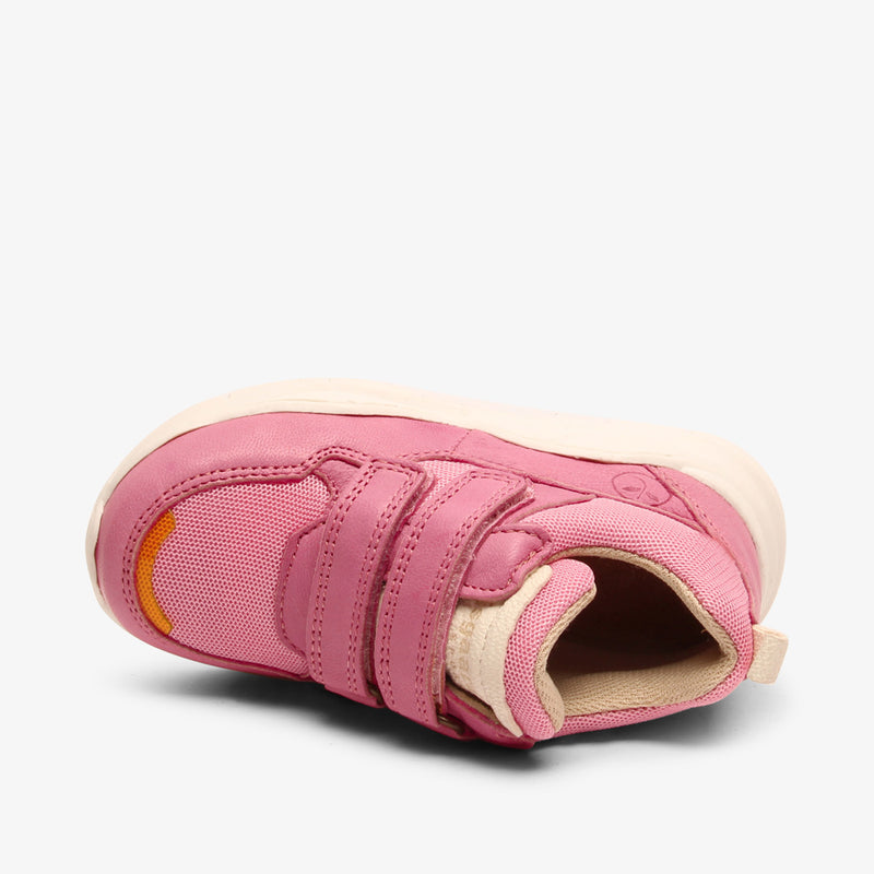 pan v berry - Rosa