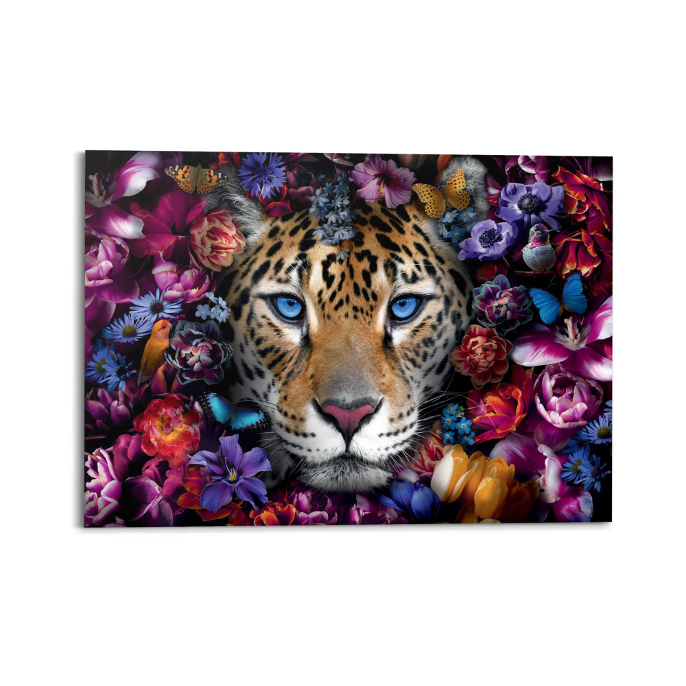 Bild Flower Cat