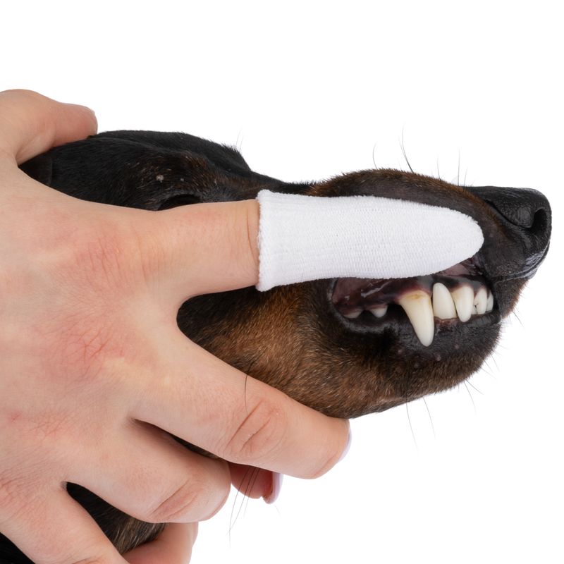 kooa Zahnpflegefinger zu TOP-Preisen