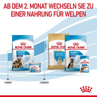 Royal Canin Maxi Starter Mother & Babydog