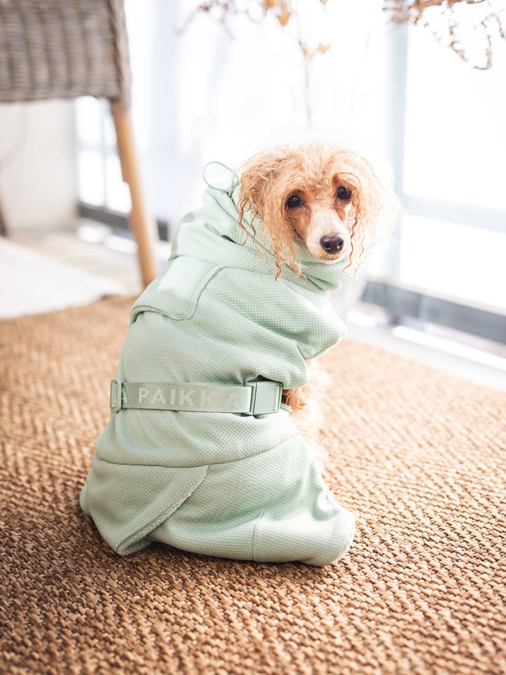 Paikka Hunde-Trockenmantel in Hellgrün günstig kaufen