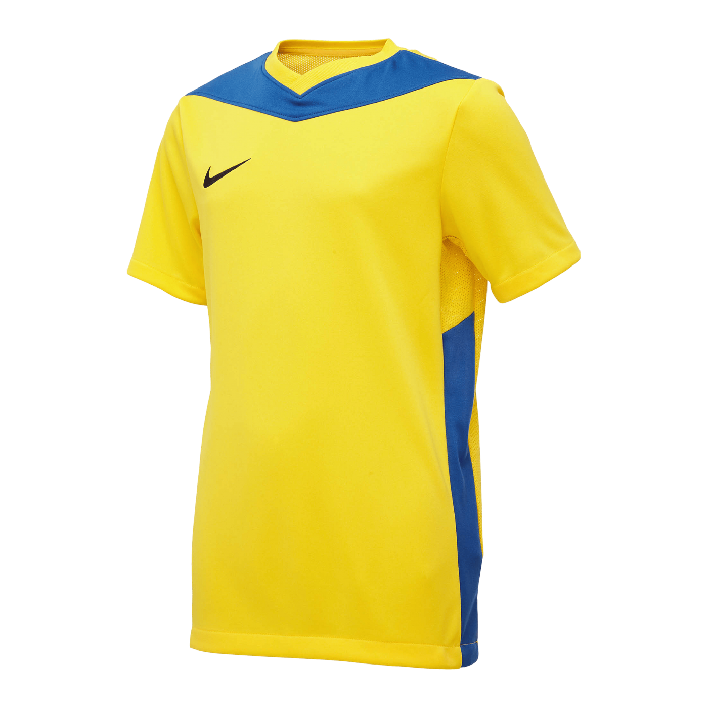 Nike Park Derby IV Trikot Kids Gelb Blau F720