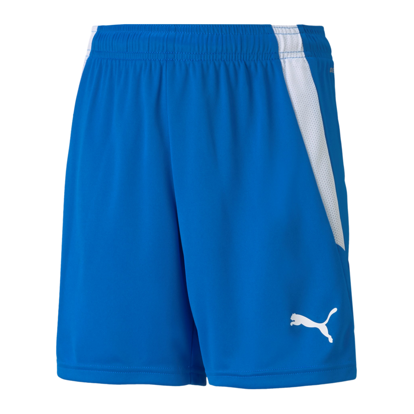 PUMA teamLIGA Shorts Kids Blau F02