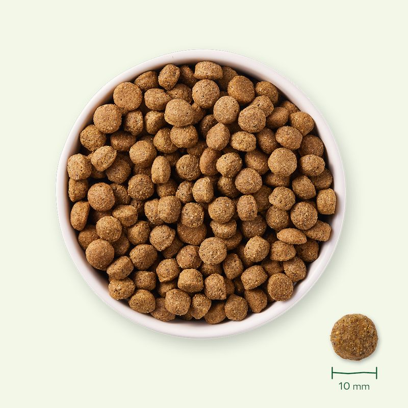 Yarrah Bio Sensitive mit Bio Huhn & Bio Reis