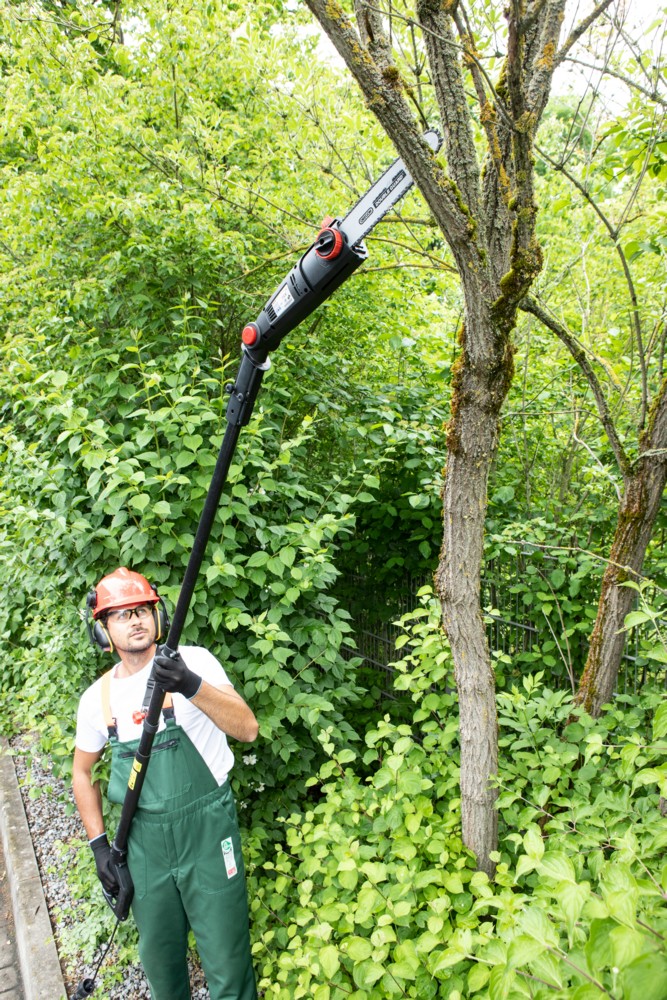Walter 2in1 Elektro-Teleskop-Kettensäge /-Heckenschere