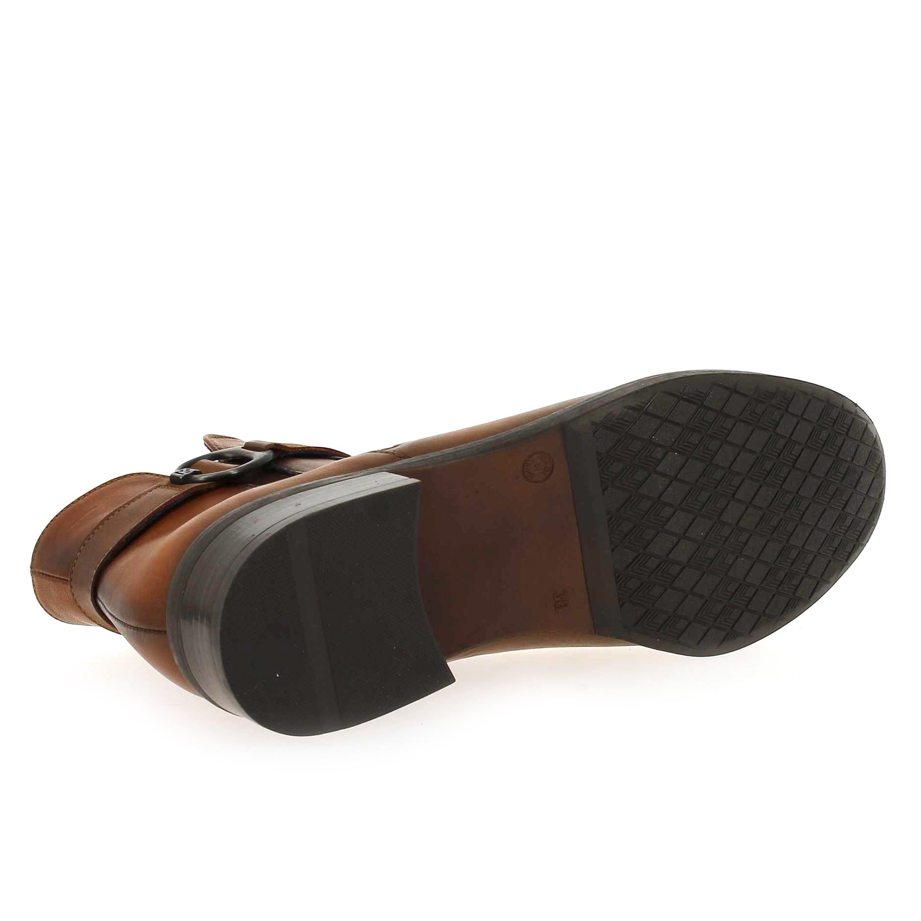 Dorking  TIERRA 8003 - Cognac