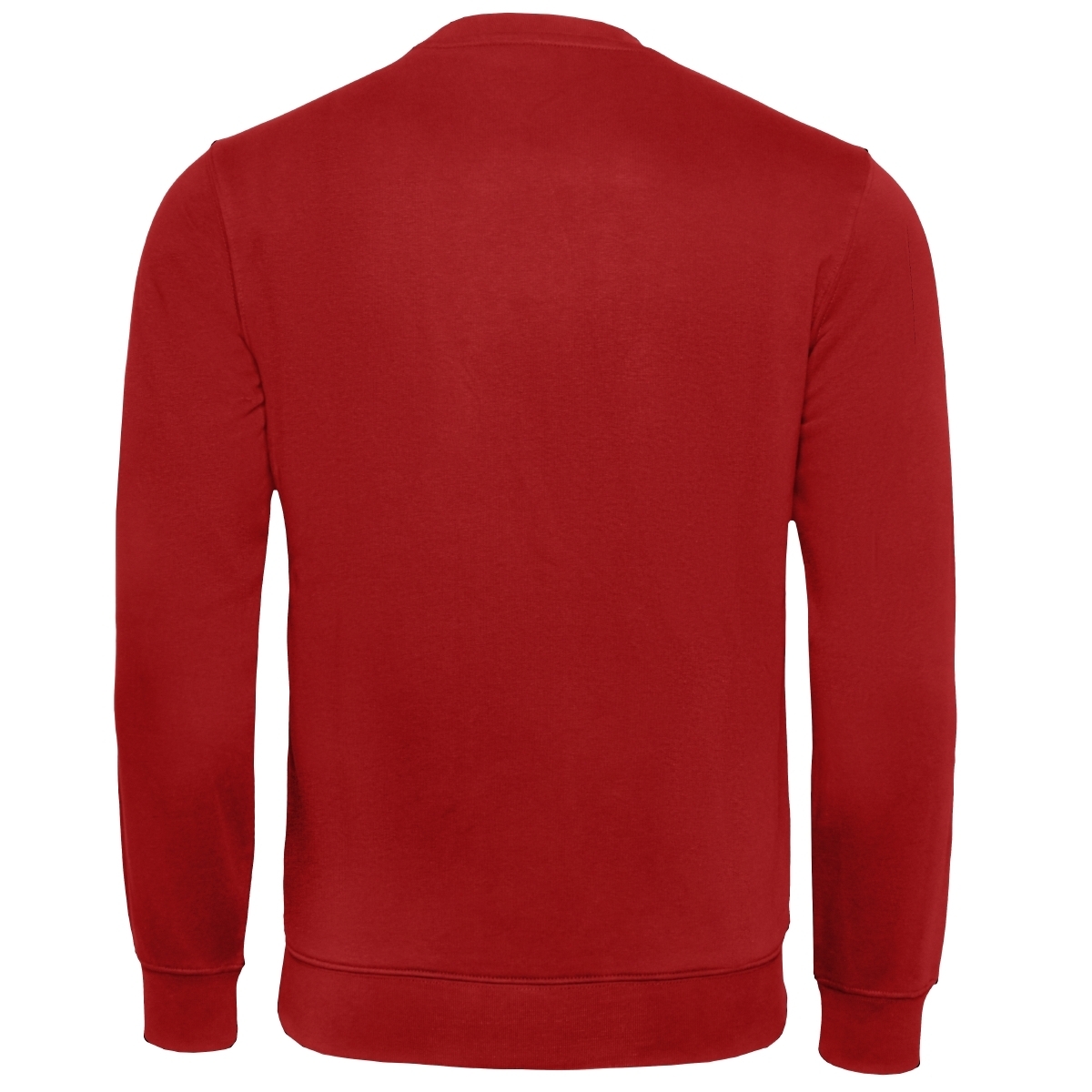 Champion Crewneck Sweatshirt rot