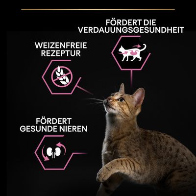 PURINA PRO PLAN Adult Delicate Digestion reich an Truthahn