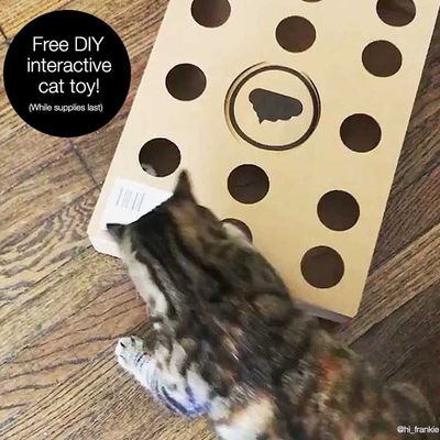 Modkat Tray Katzentoilette