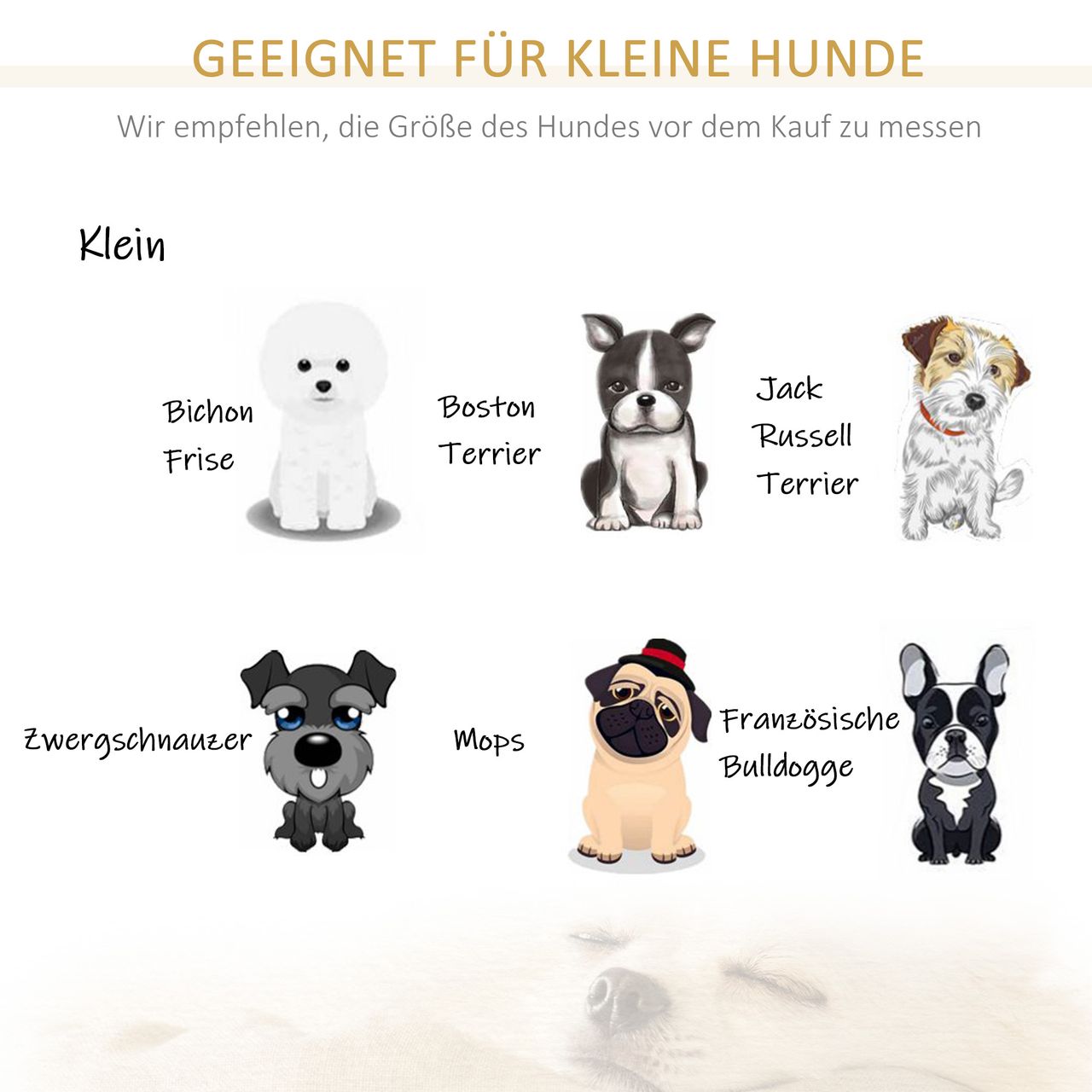 PawHut Haustiersofa Hundematte Katzen Sofa mit Kissen Plüsch Cremeweiß