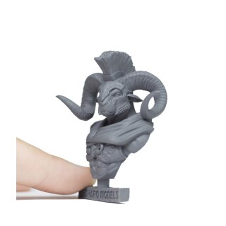 Aries Bust