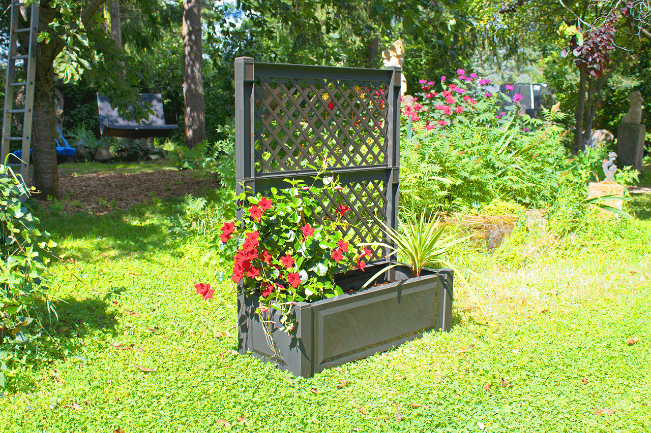 KHW KHW Pflanzkasten groß mit Spalier (2-tlg.) 100 cm, anthrazit