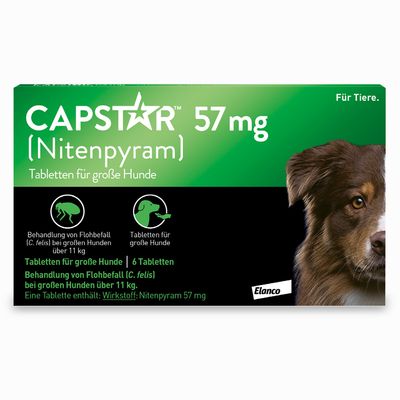 CAPSTAR 57 mg für große Hunde