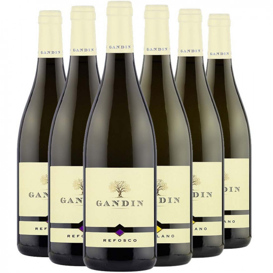 Gandin Kennenlern-Paket - Gandin