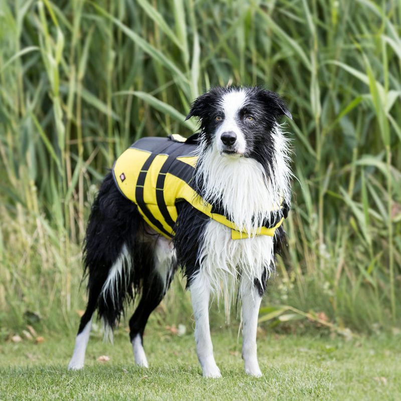 Trixie Schwimmweste für Hunde zu TOP-Preisen