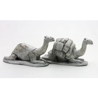 Kneeling Camels (2)