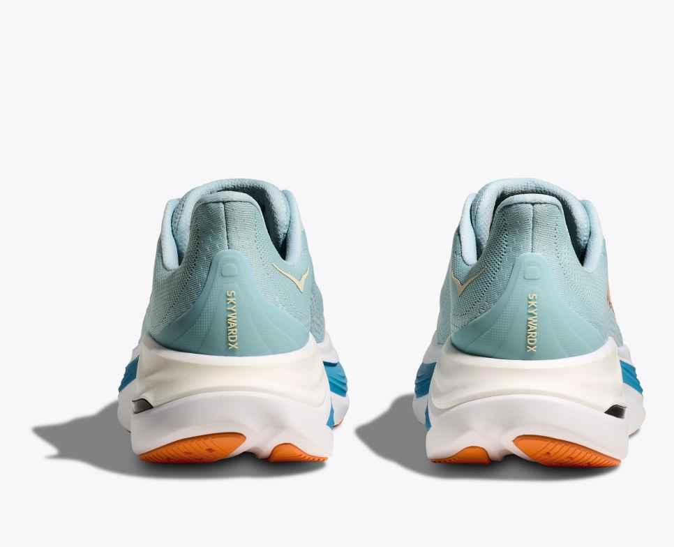 Skyward X Clear Sea / Alpine Blue