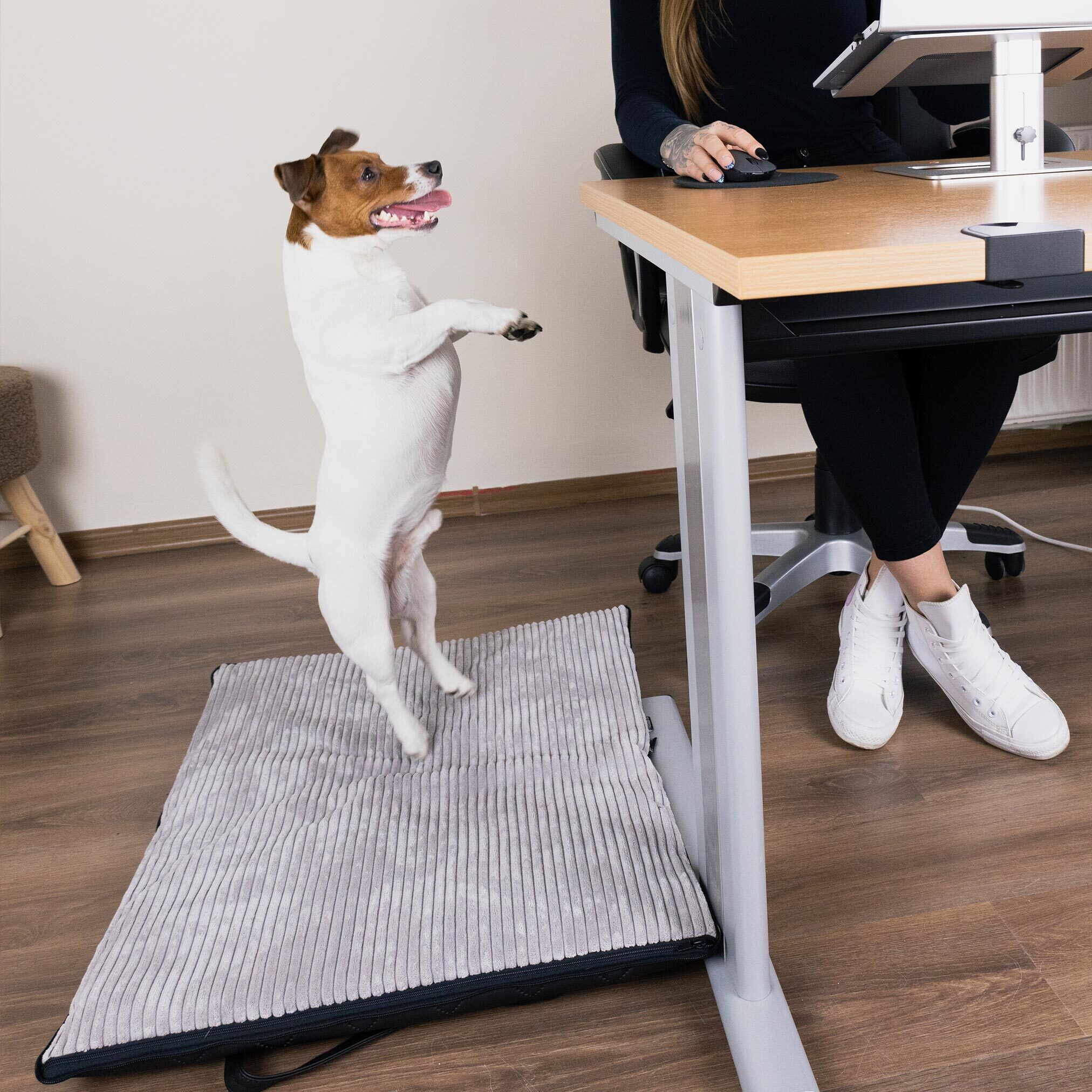 Freudentier Hundematten Freudentier faltbare Hundematte für unterwegs S-M