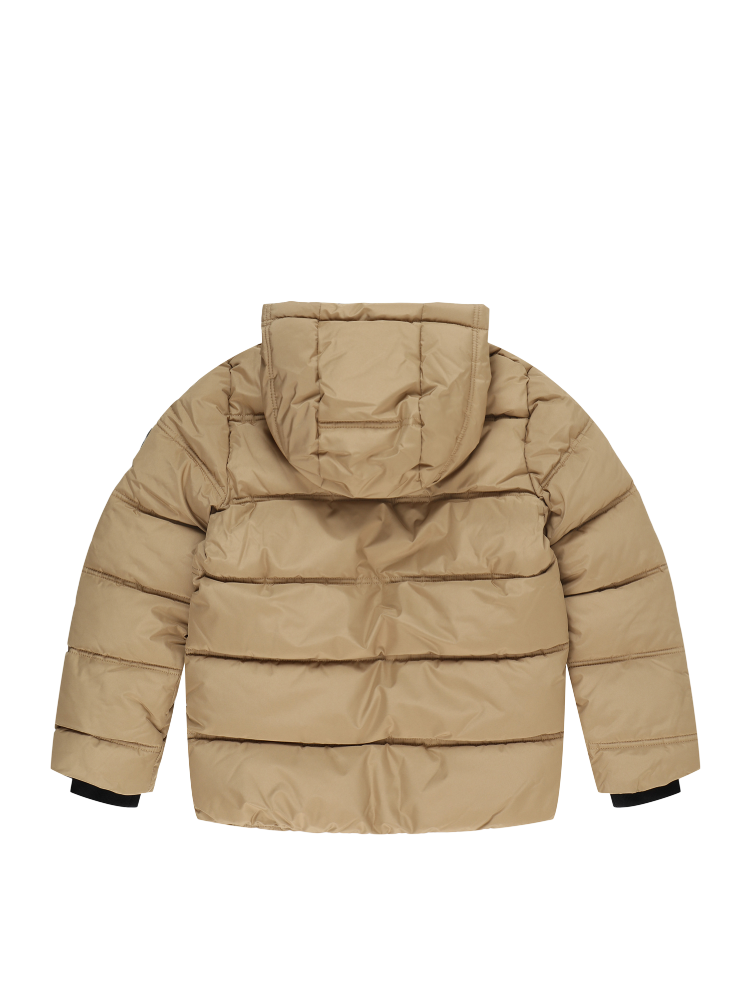 Winter Jacket