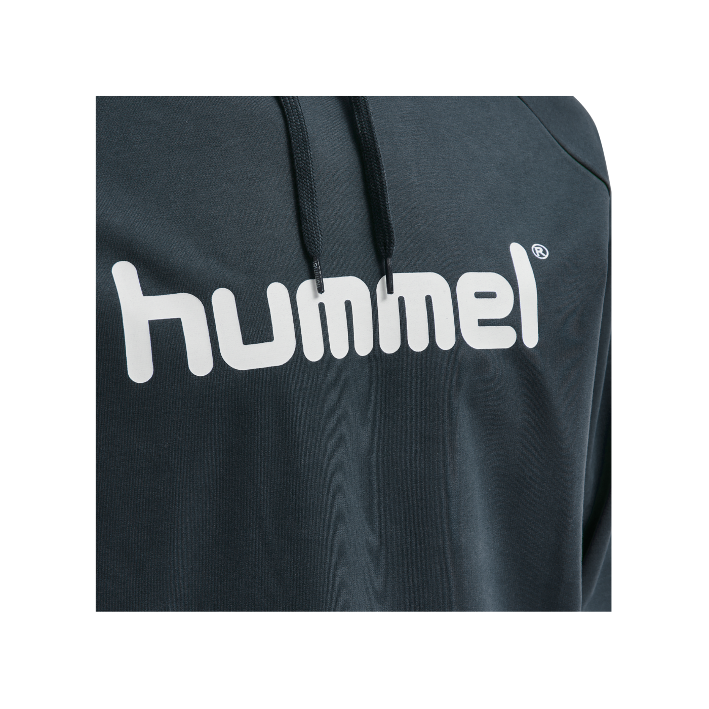 Hummel hmlGO Cotton Logo Hoody Blau F8571