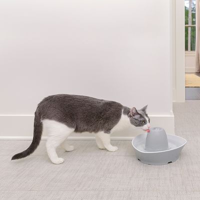 PetSafe® Streamside Keramik Trinkbrunnen