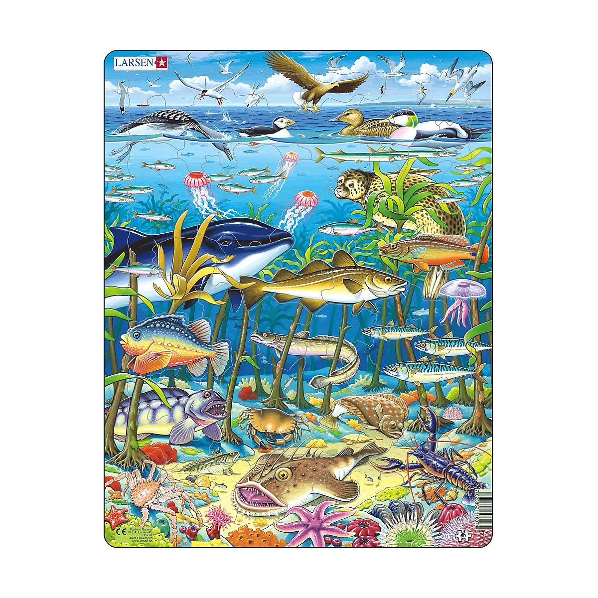 Rahmen-Puzzle, 60 Teile, 36x28 cm, Meeresleben