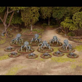 Death Fields - Giant Spiders (24) (28mm) (EN)