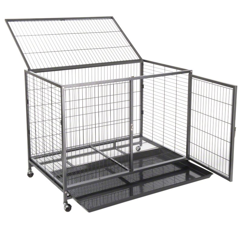 Zimmerkennel Tabby zu TOP-Preisen % | bitiba