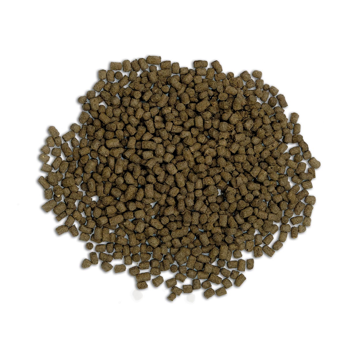 Fluval Bug Bites Cichliden M-L 100g günstig kaufen