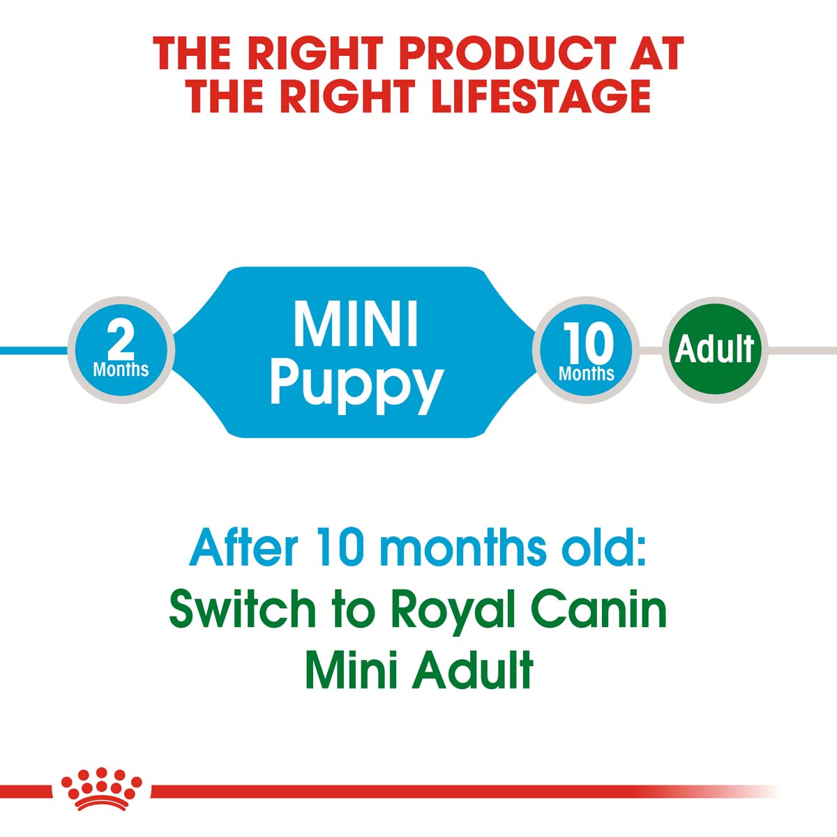 ROYAL CANIN Mini Puppy 2kg + Mini Puppy in Soße 12x85g