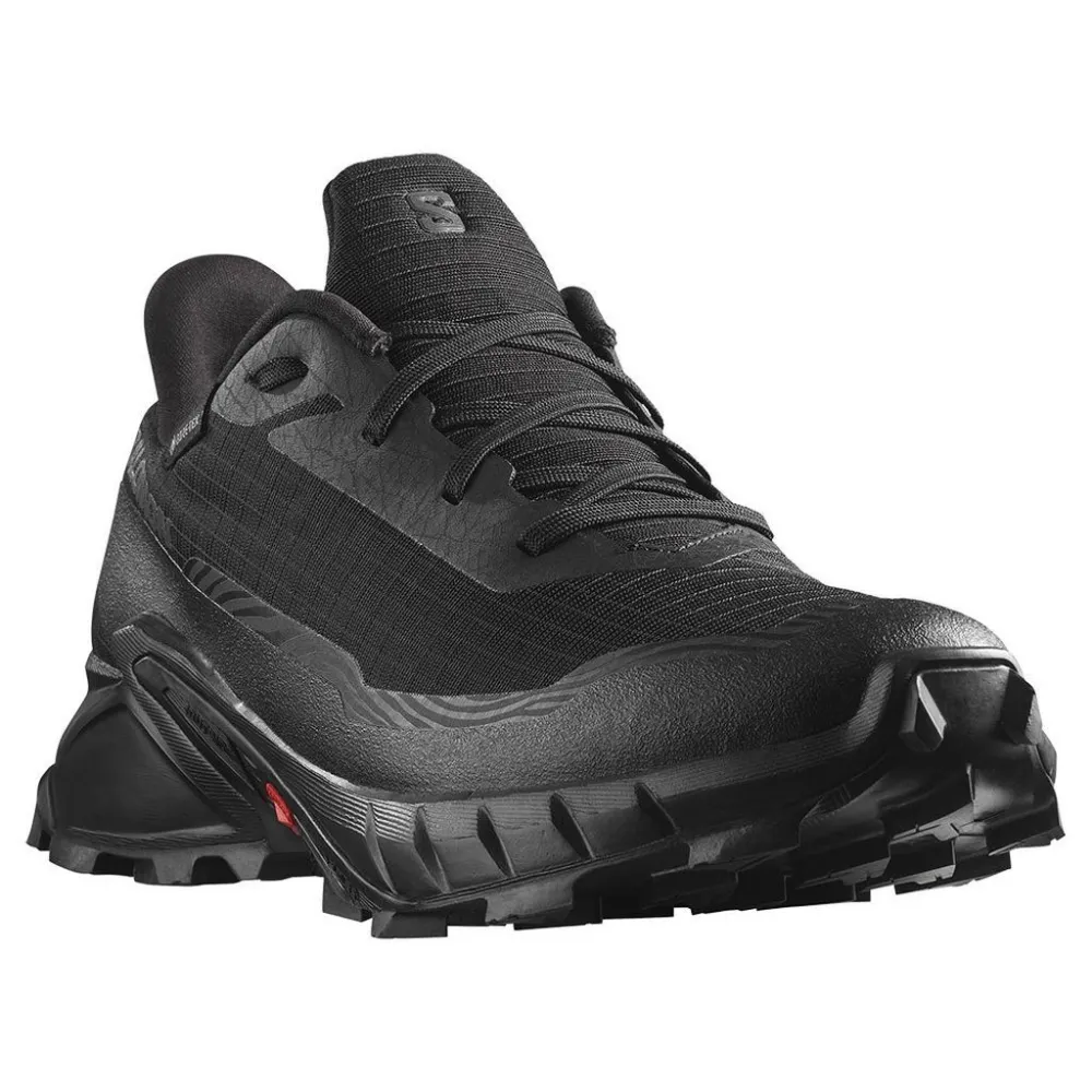 Salomon Alphacross 5 GTX L47310900 / schwarz