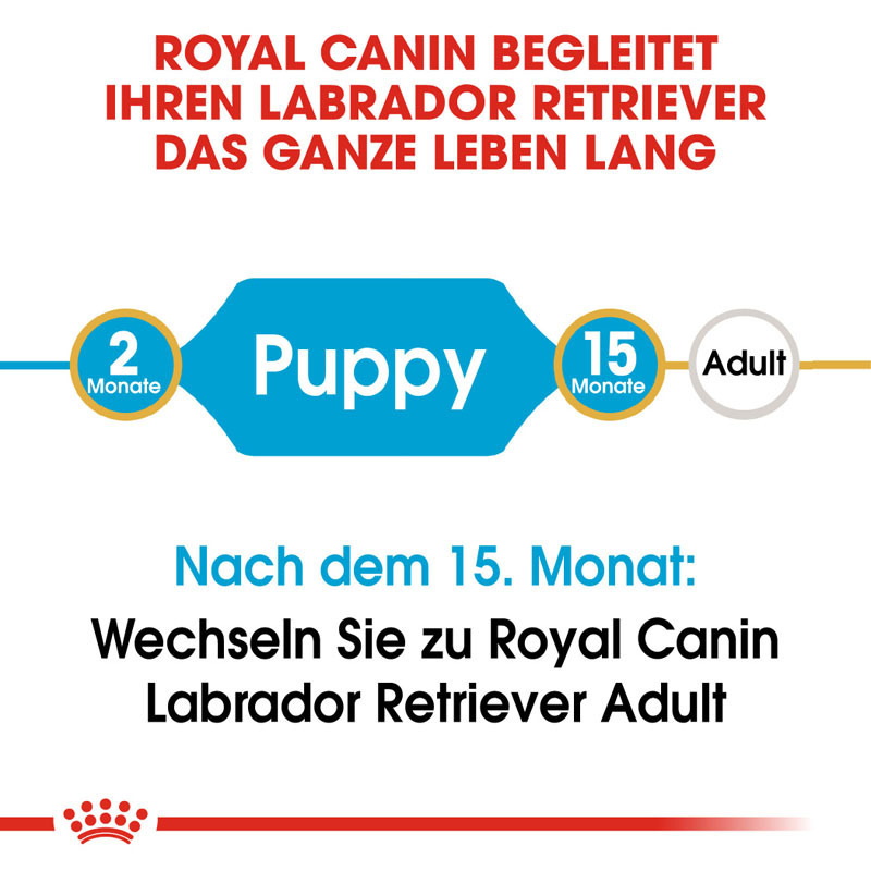 ROYAL CANIN Hundetrockenfutter ROYAL CANIN Labrador Retriever Puppy 12 kg
