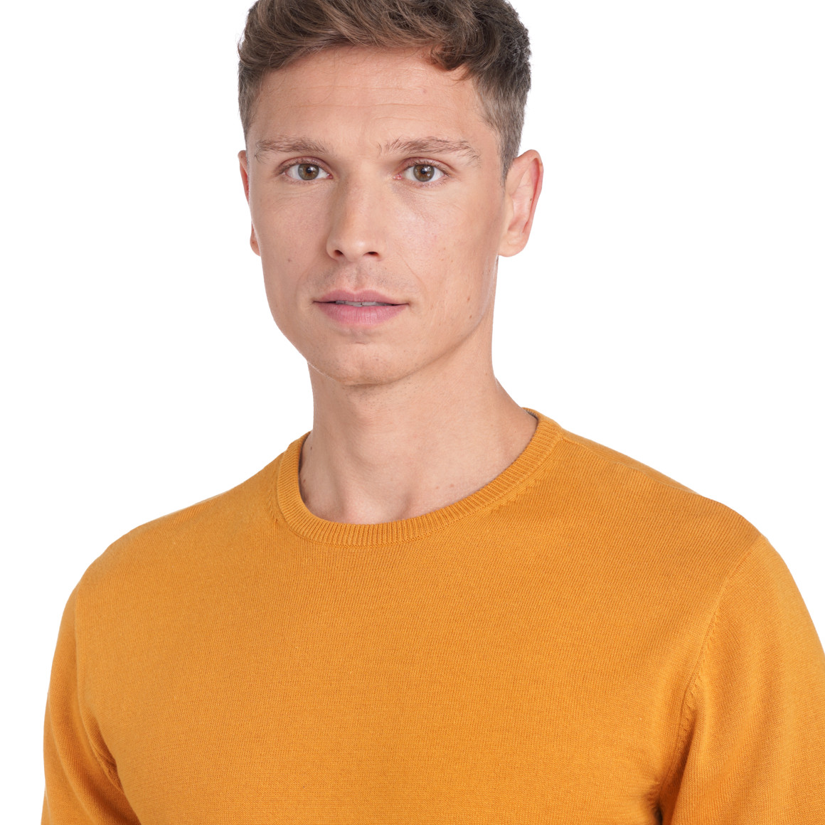 Herren Feinstrickpullover mit Rundhals
