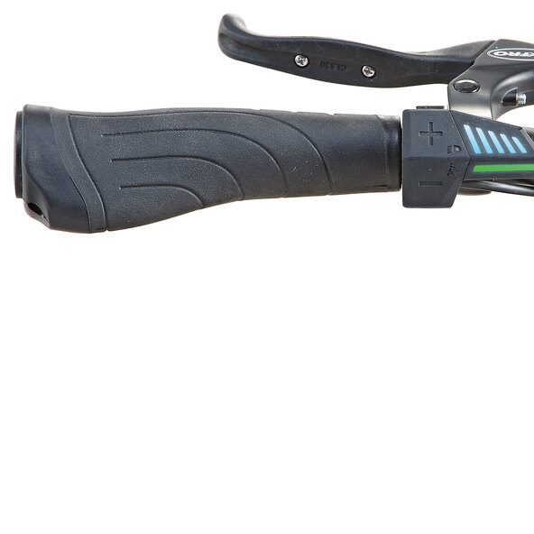 E-Bike Geniesser 1.0 28
