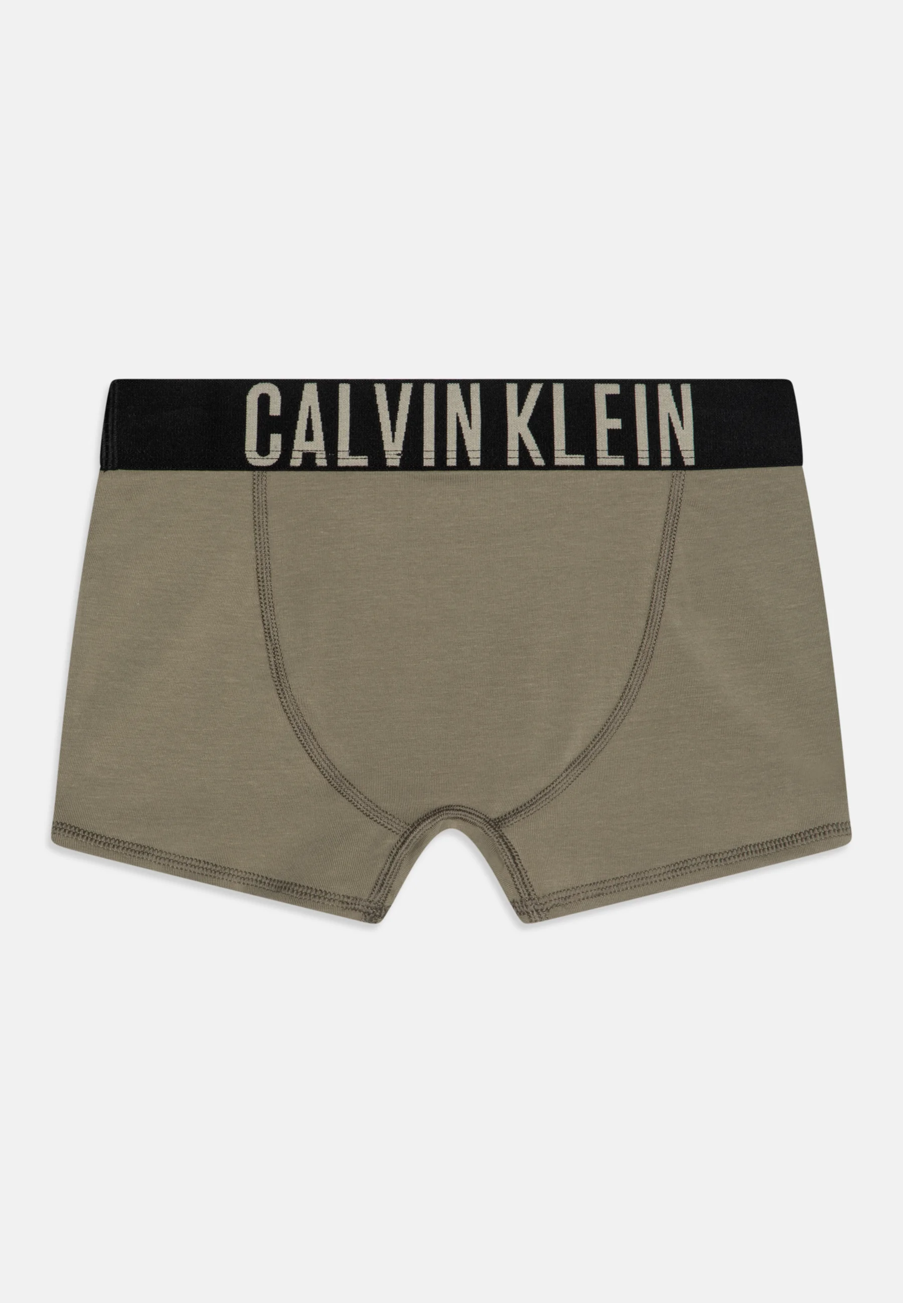 Calvin Klein Underwear TRUNK PACK DE 2 - Culotte