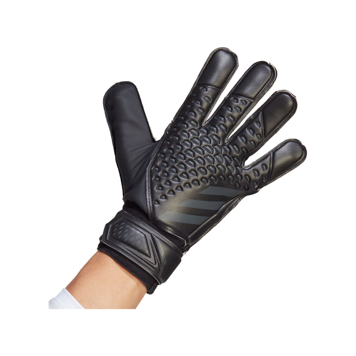 adidas Predator TRN Torwarthandschuhe Nightstrike Schwarz