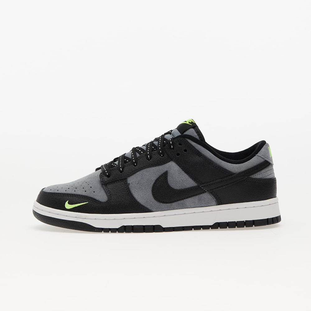 Nike Dunk Low FQ2205-001 / grau
