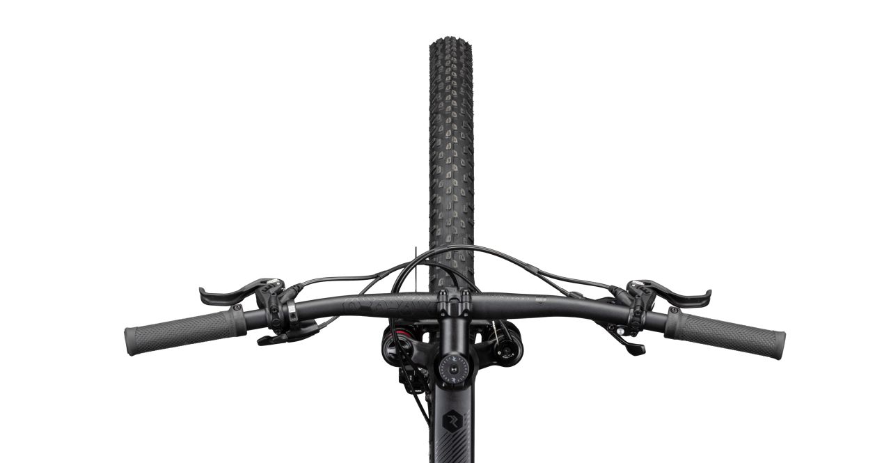 Radon Jealous AL 9.0 kaufen | Bike-Discount