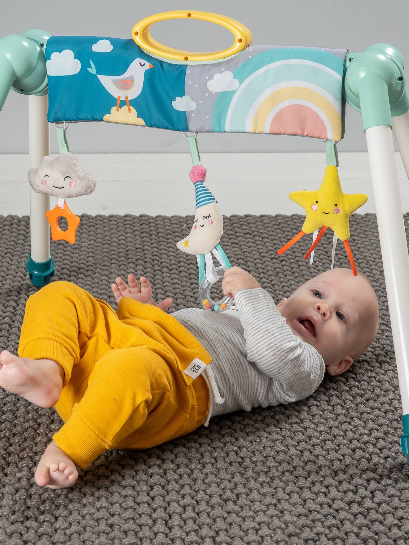 Taf Toys Baby Spielbogen TAF TOYS - mehrfarbig