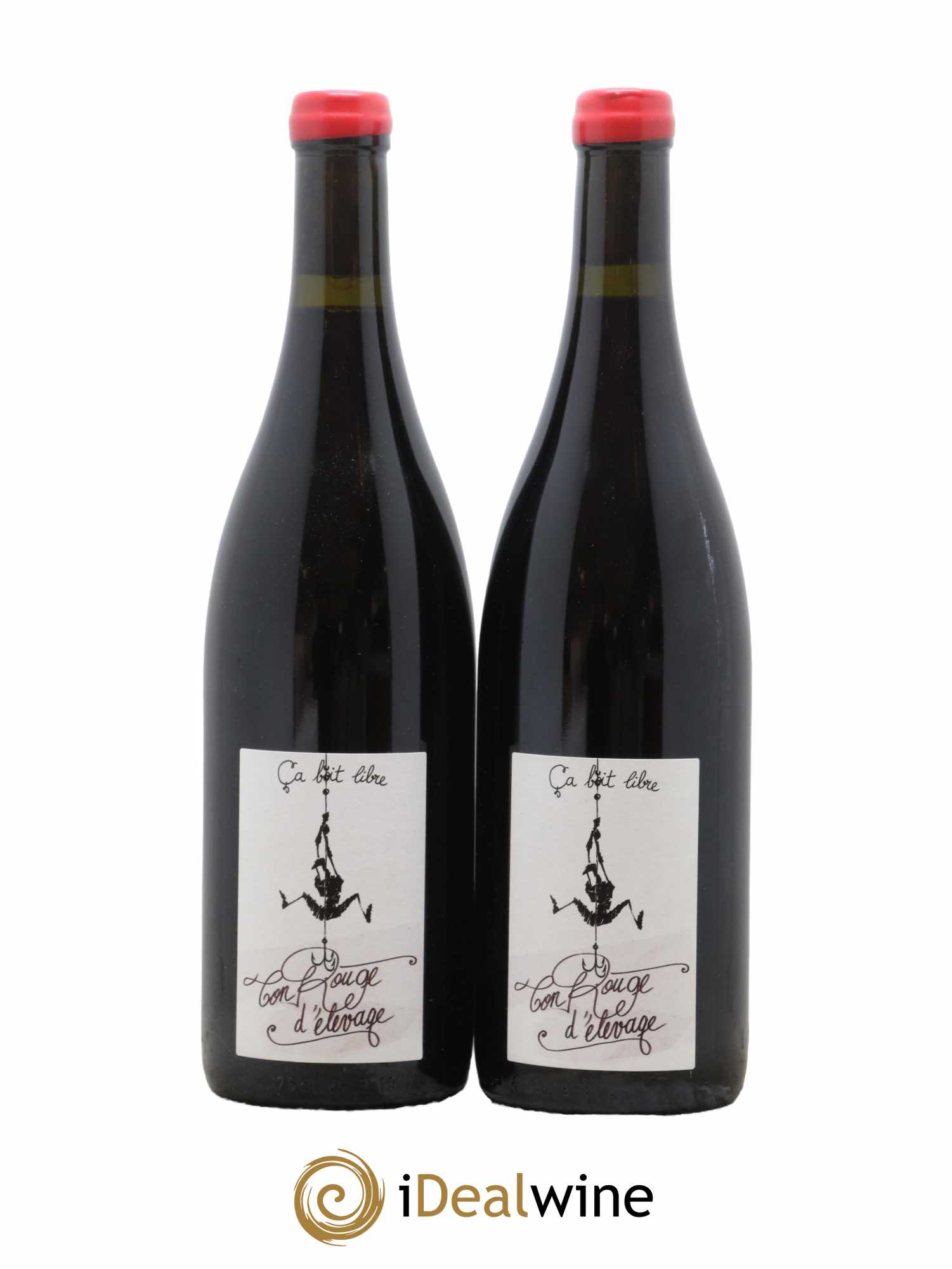 Vin de Savoie Ton rouge d'élevage Domaine Ca boit libre 2021 - Lot de 2 Bouteilles