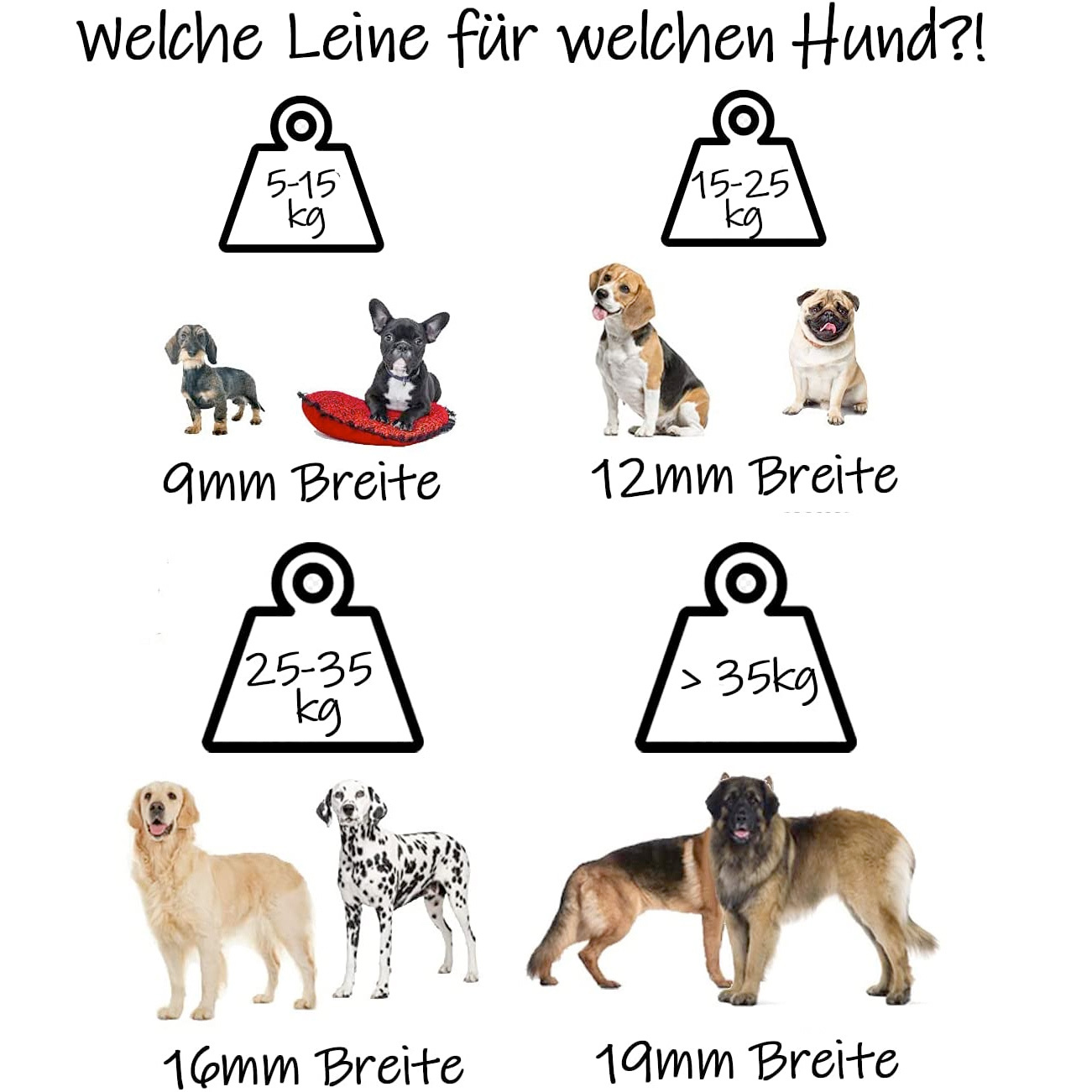 bio-leine Hundeleinen bio-leine ab 35 kg Biothane Schleppleine türkis 15 m