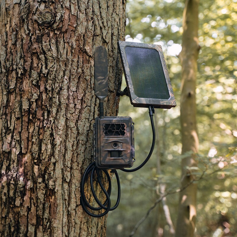 SEISSIGER Wildkamera Special-Cam LTE - SUPERSIM-Edition inkl. Batterien