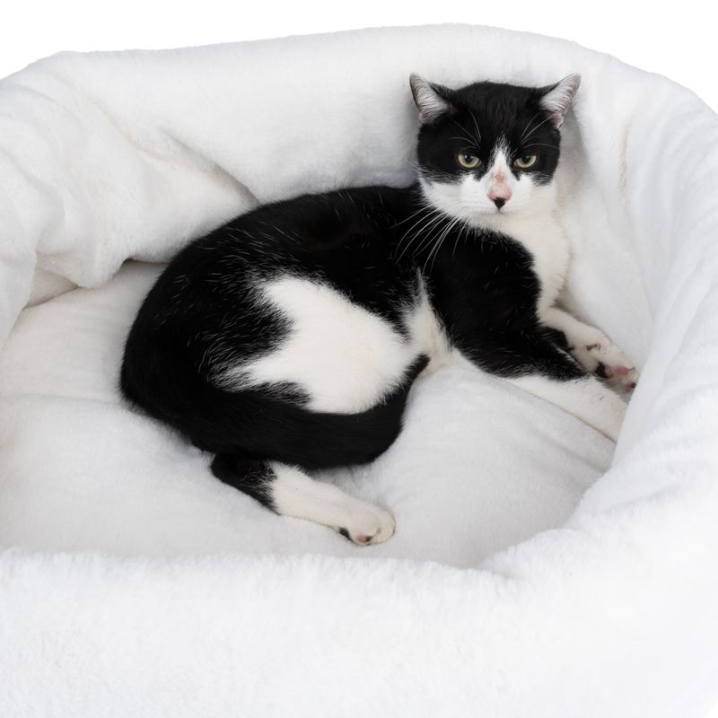 Modern Living Kuschelbett Loen zu TOP-Preisen
