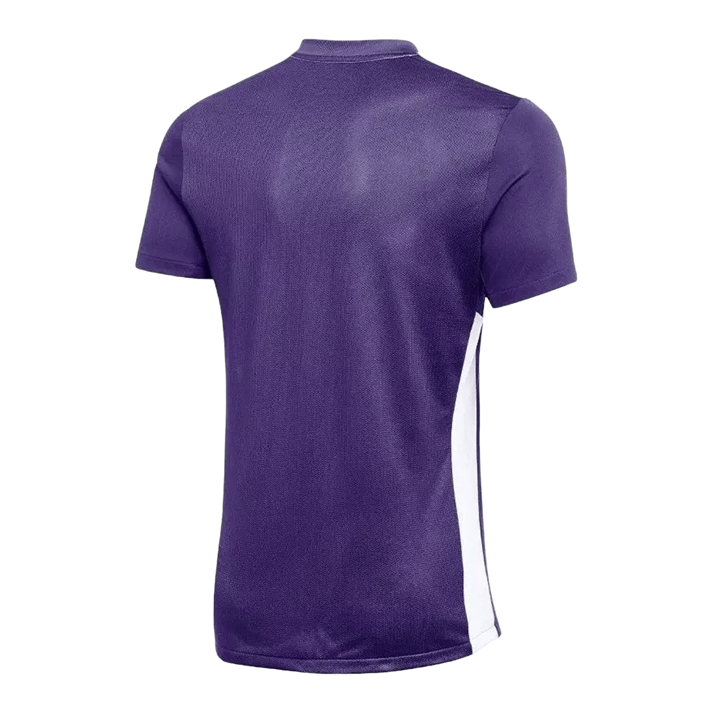 Nike Park Derby IV Trikot Kids Lila Weiss F547