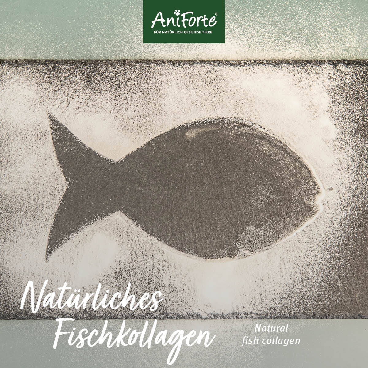 Aniforte Ergänzungsfutter & Aufzucht Aniforte Kollagen CollaMove Kollagen 250 g